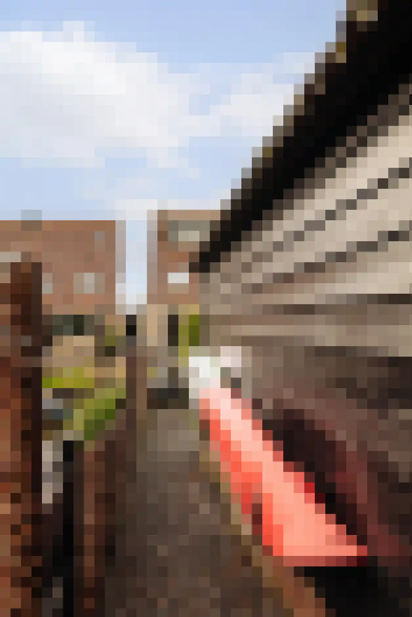 Dorpsstraat 25 Graft thumbnail 47