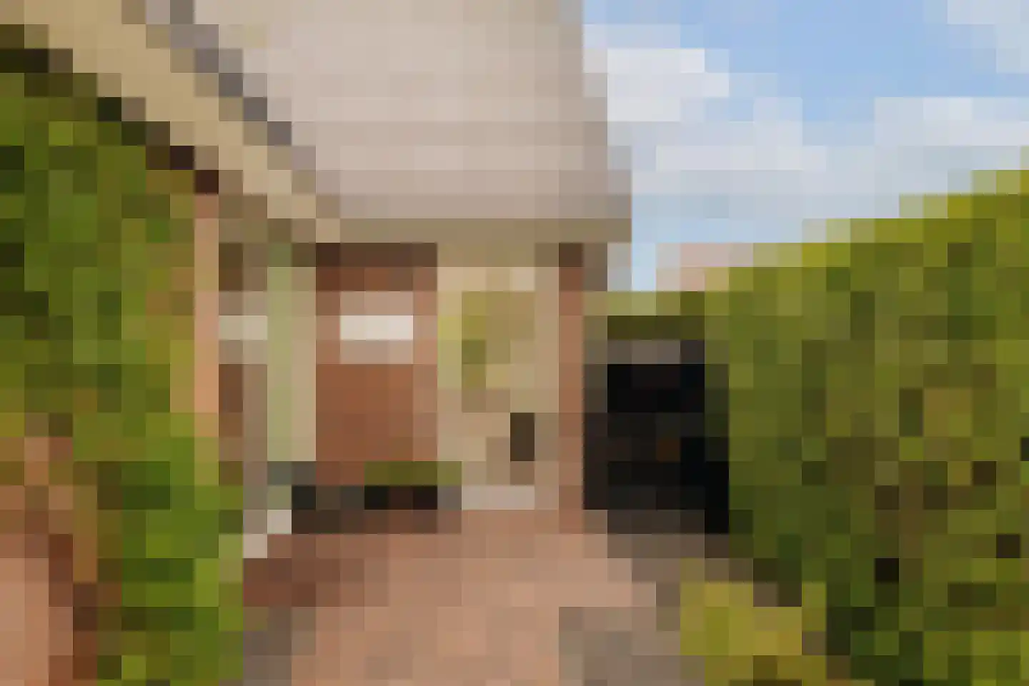 Dorpsstraat 25 Graft thumbnail 5