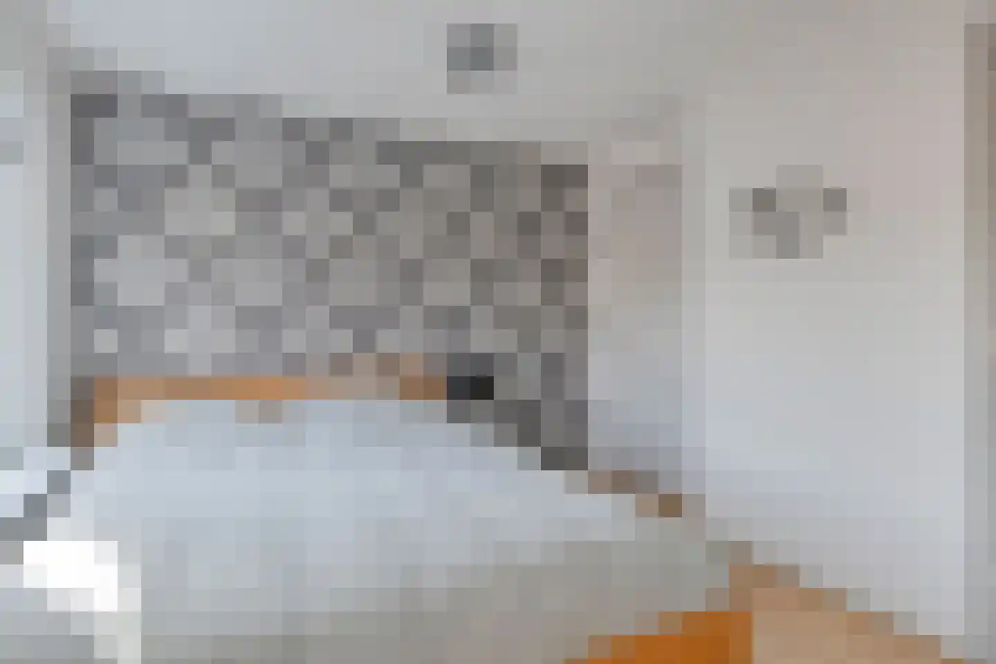 Dorpsstraat 25 Heinkenszand thumbnail 30