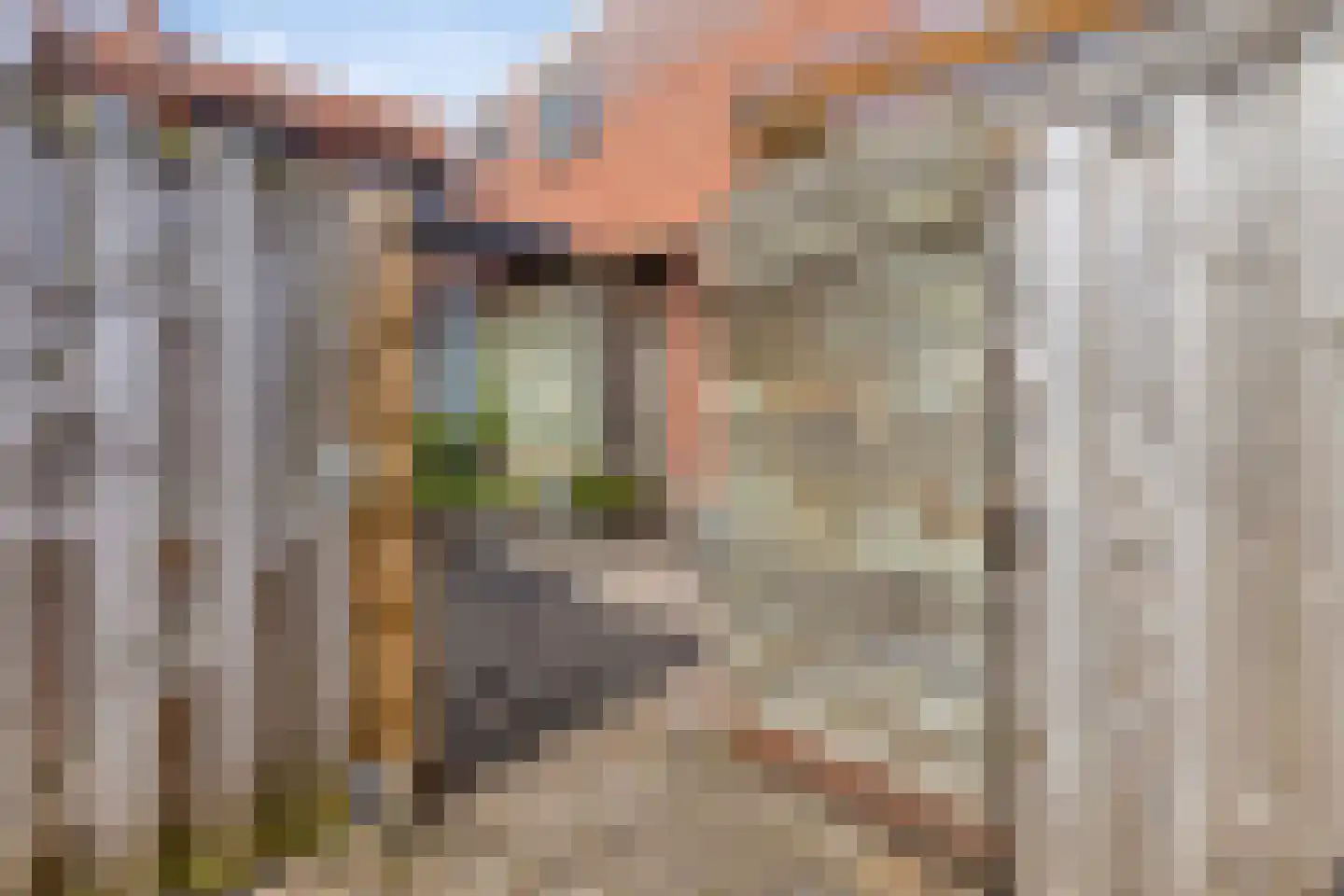 Dorpsstraat 25 Heinkenszand thumbnail 36