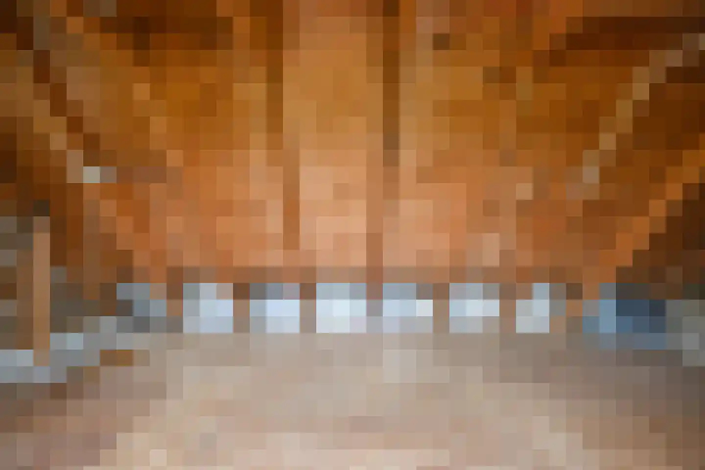 Dorpsstraat 25 Oostknollendam thumbnail 36
