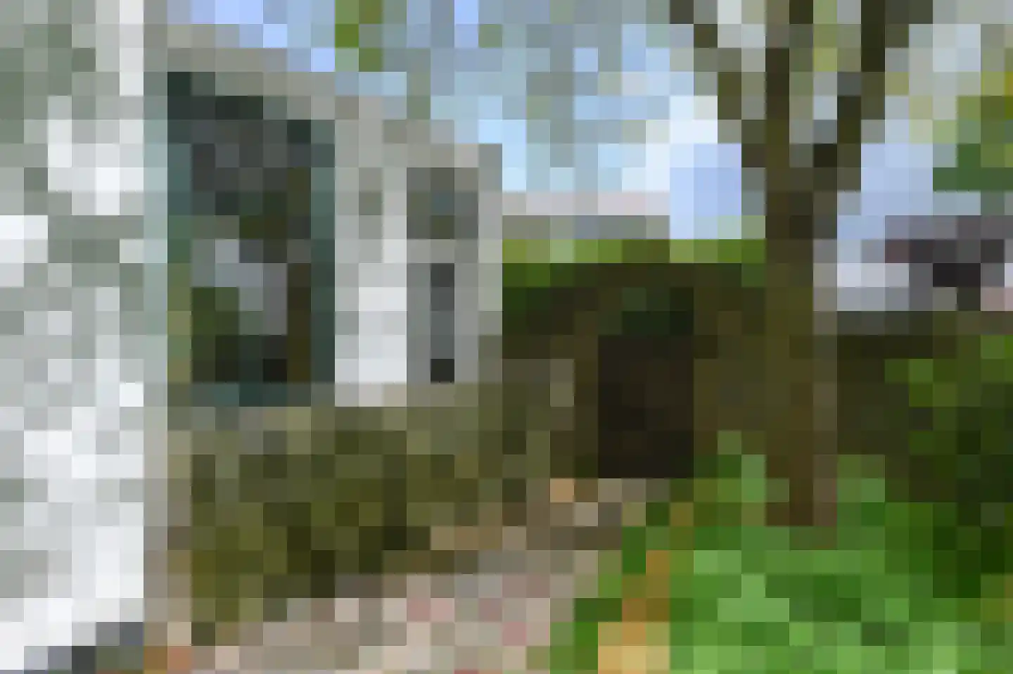 Dorpsstraat 25 Poortugaal thumbnail 17