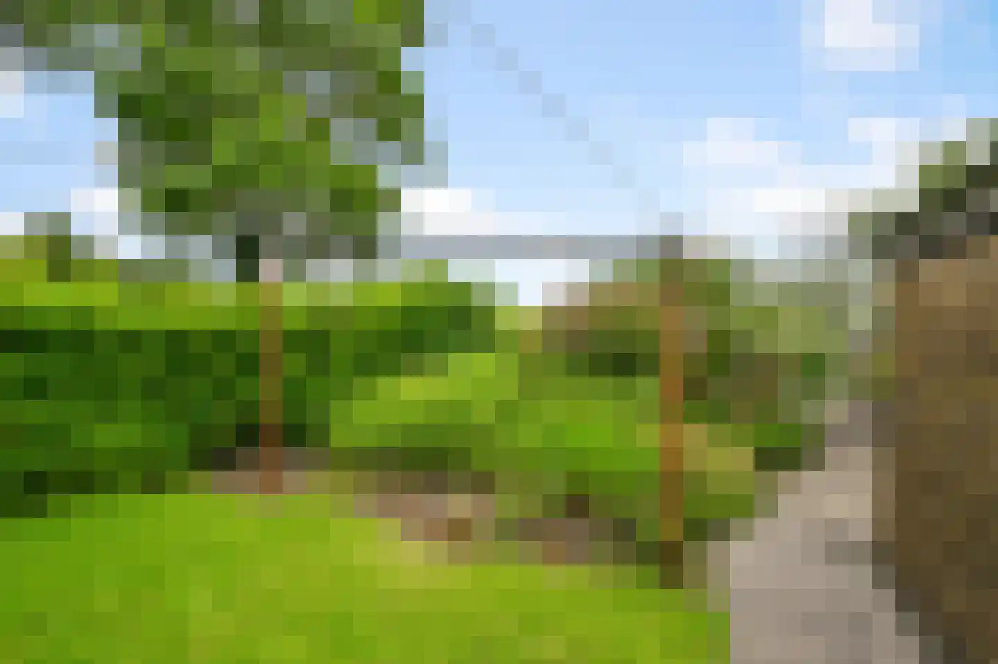 Dorpsstraat 250 Assendelft thumbnail 12