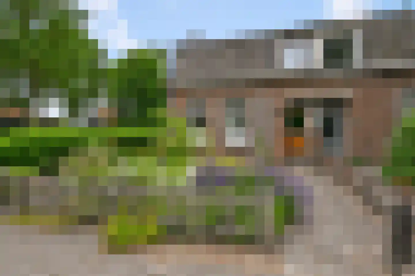 Dorpsstraat 250 Assendelft thumbnail 4