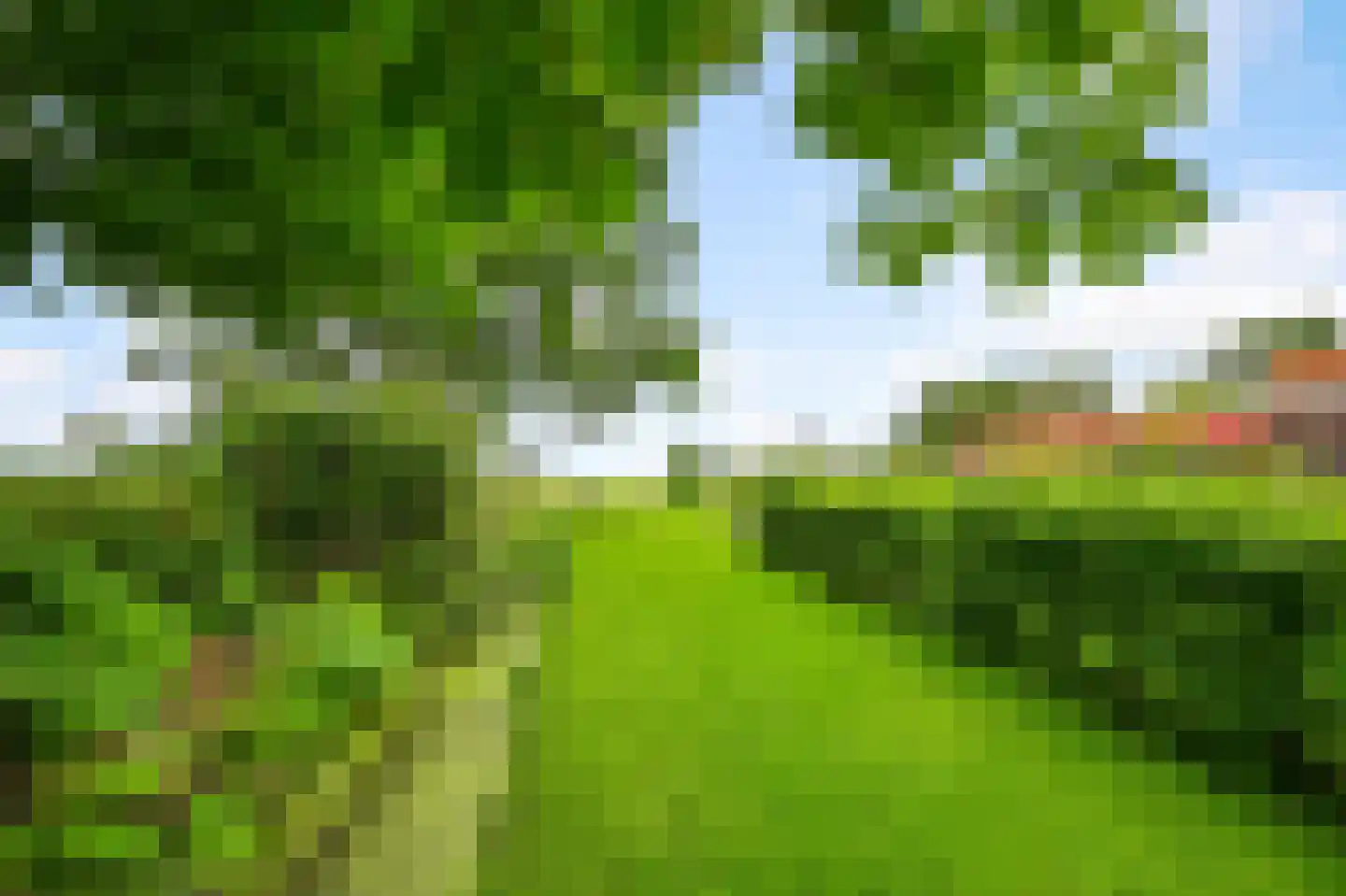 Dorpsstraat 250 Assendelft thumbnail 6