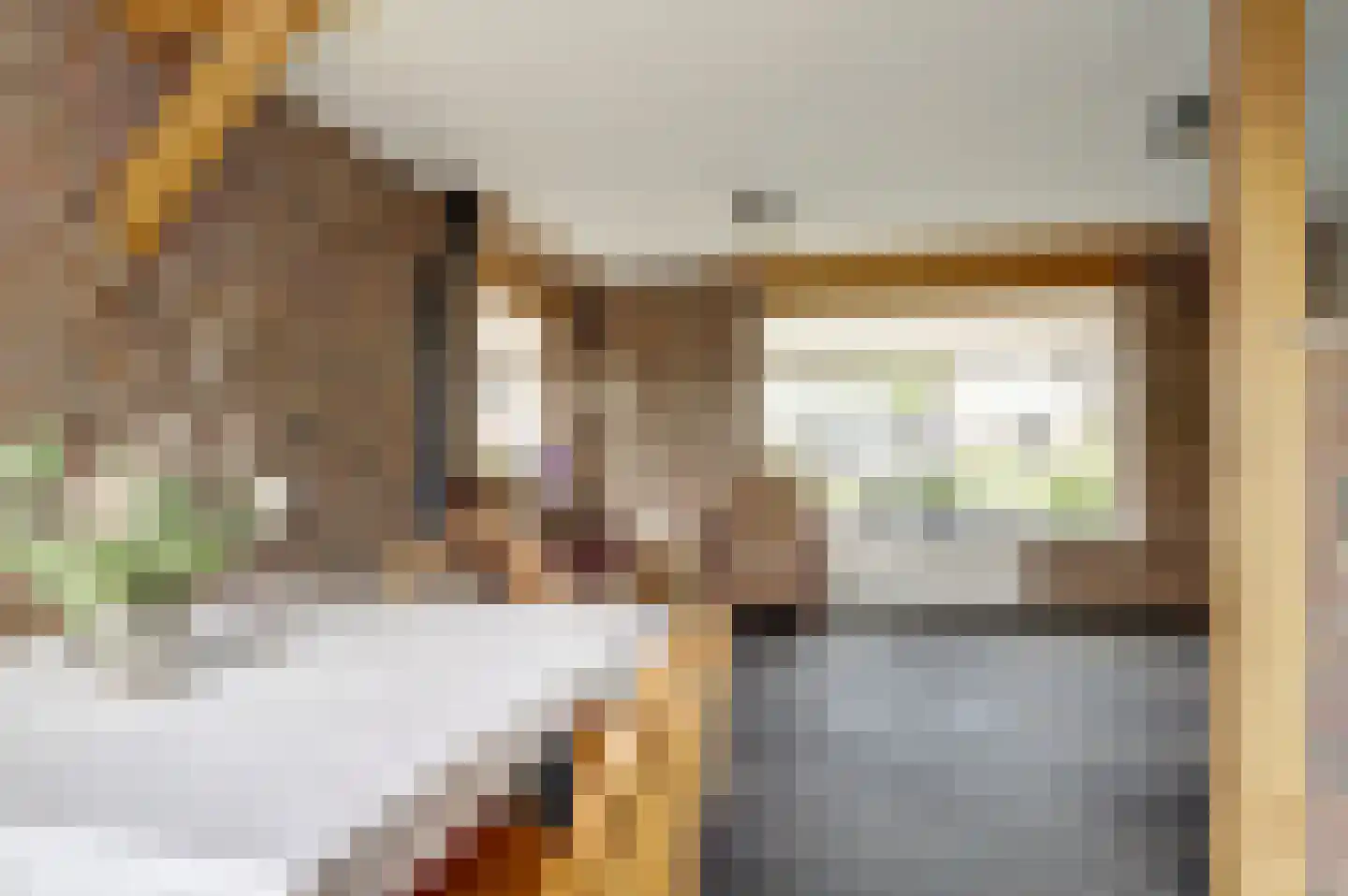 Dorpsstraat 251 Obdam thumbnail 10