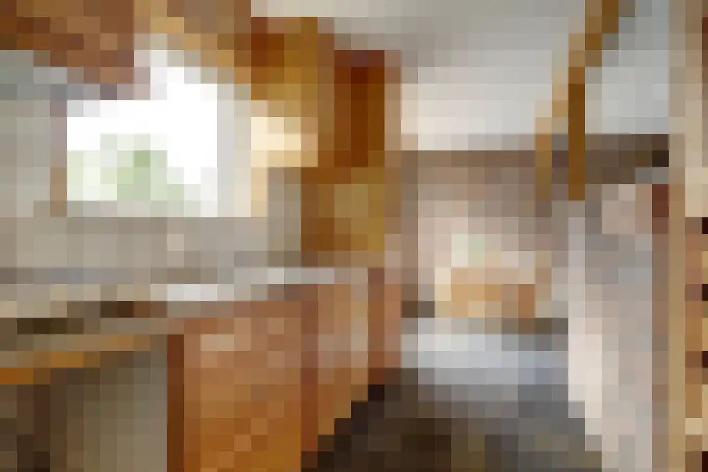 Dorpsstraat 251 Obdam thumbnail 14