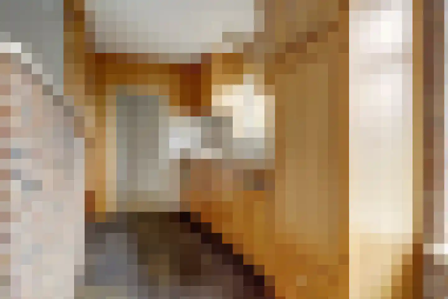 Dorpsstraat 251 Obdam thumbnail 15