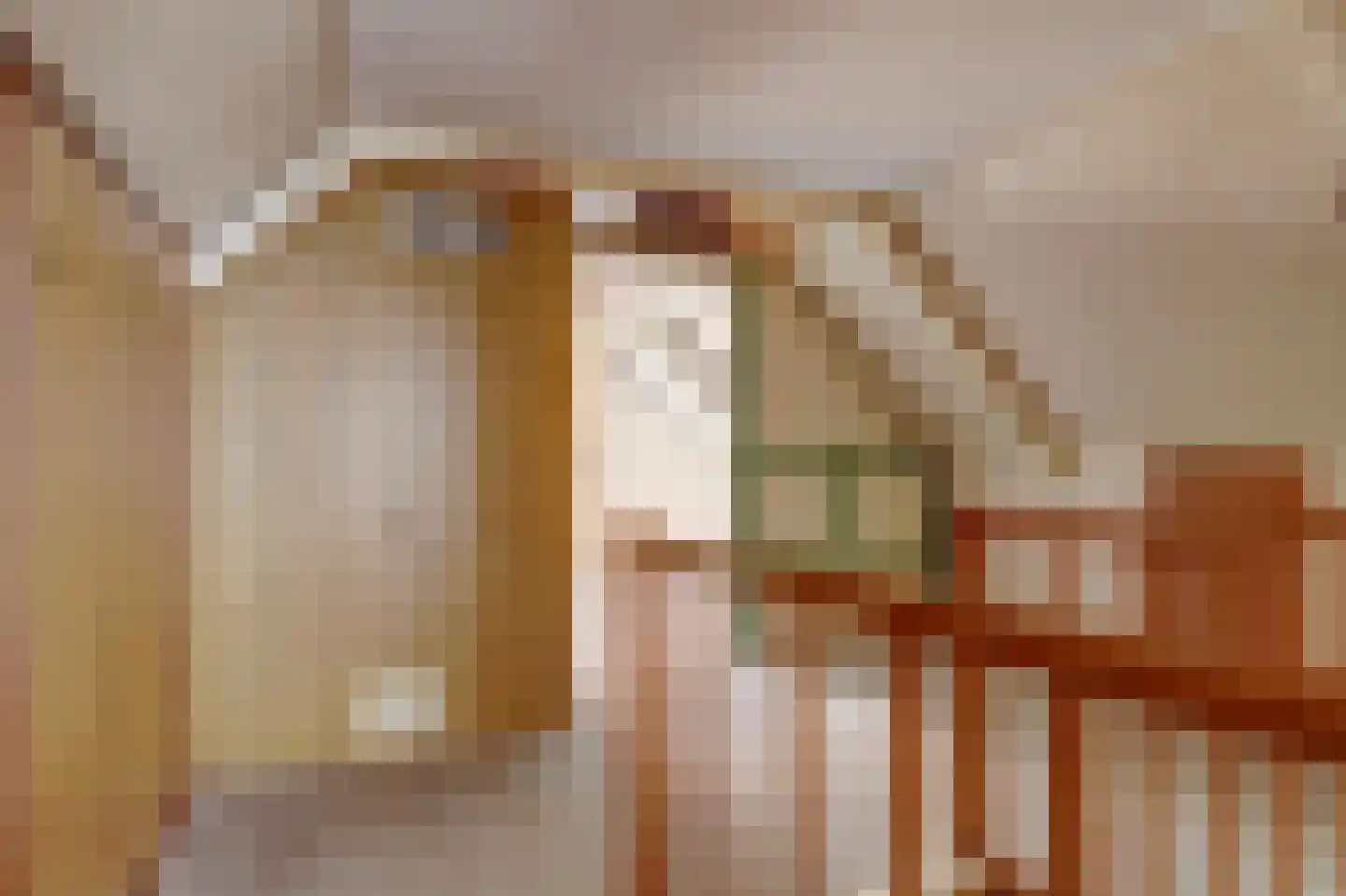Dorpsstraat 251 Obdam thumbnail 31