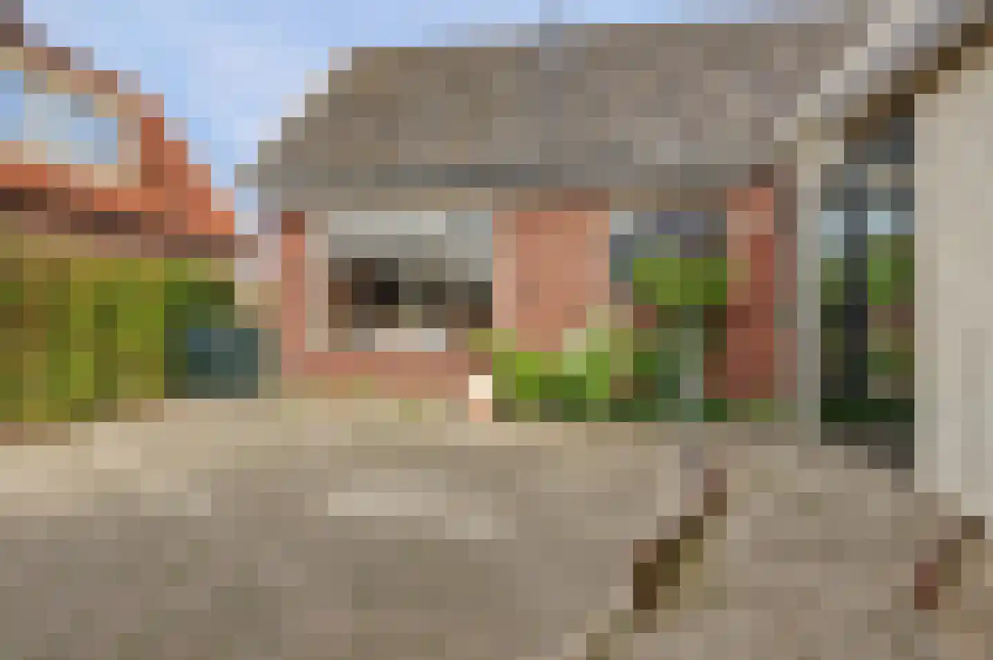 Dorpsstraat 251 Obdam thumbnail 38