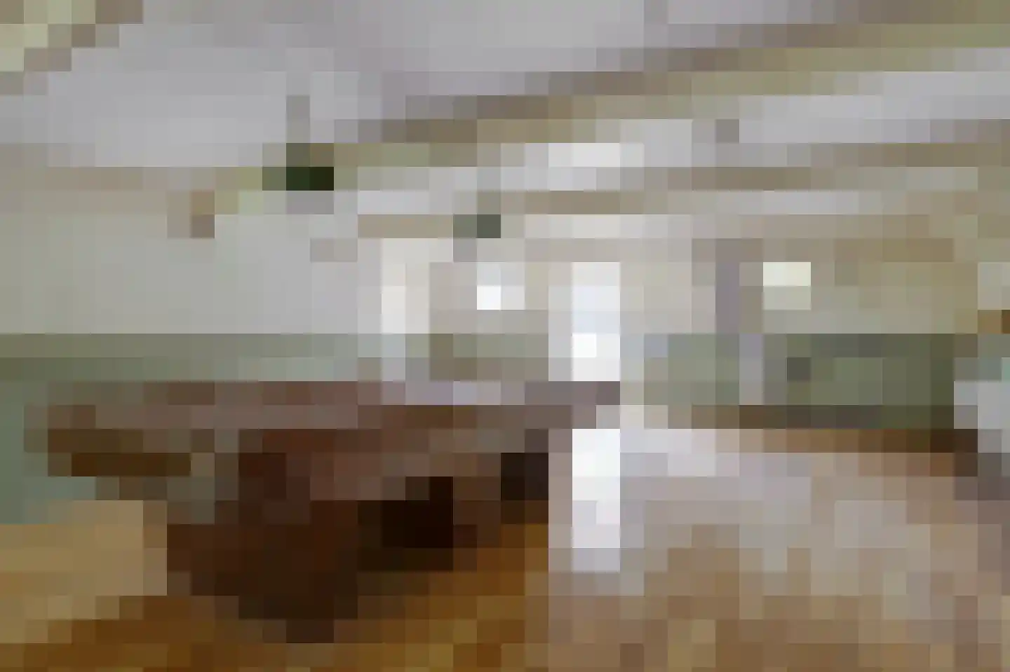 Dorpsstraat 251 Obdam thumbnail 43