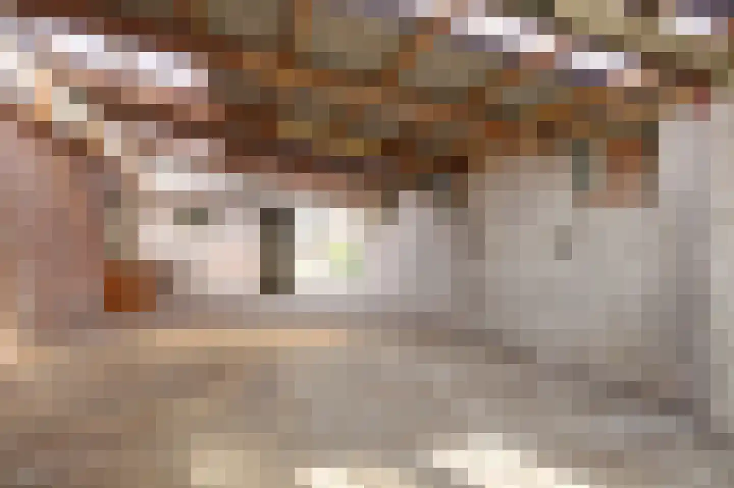 Dorpsstraat 251 Obdam thumbnail 45
