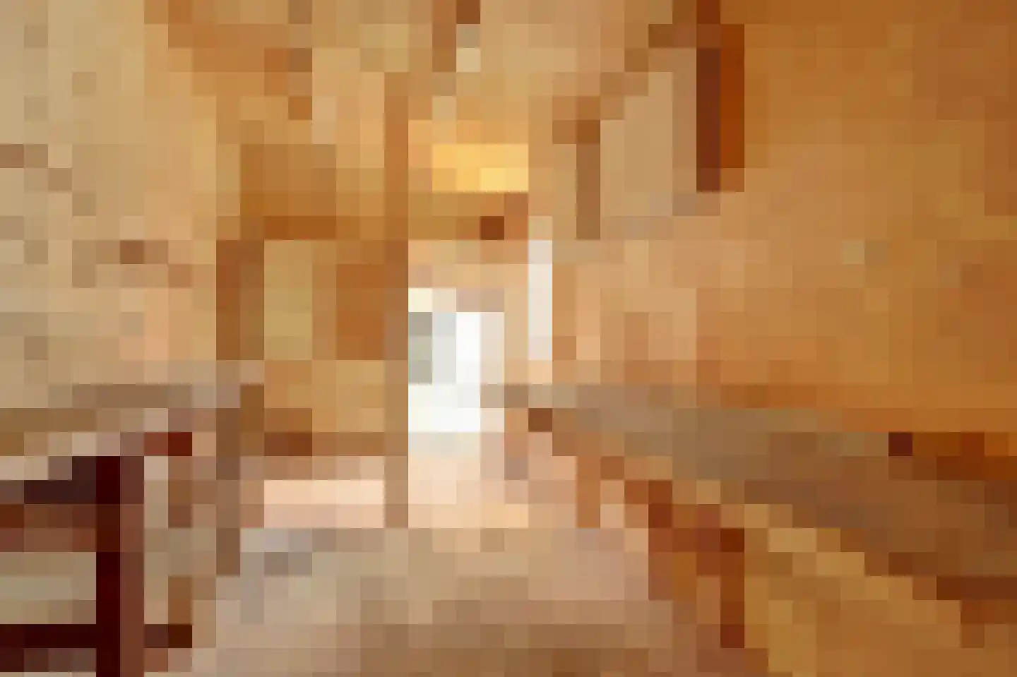 Dorpsstraat 251 Obdam thumbnail 46