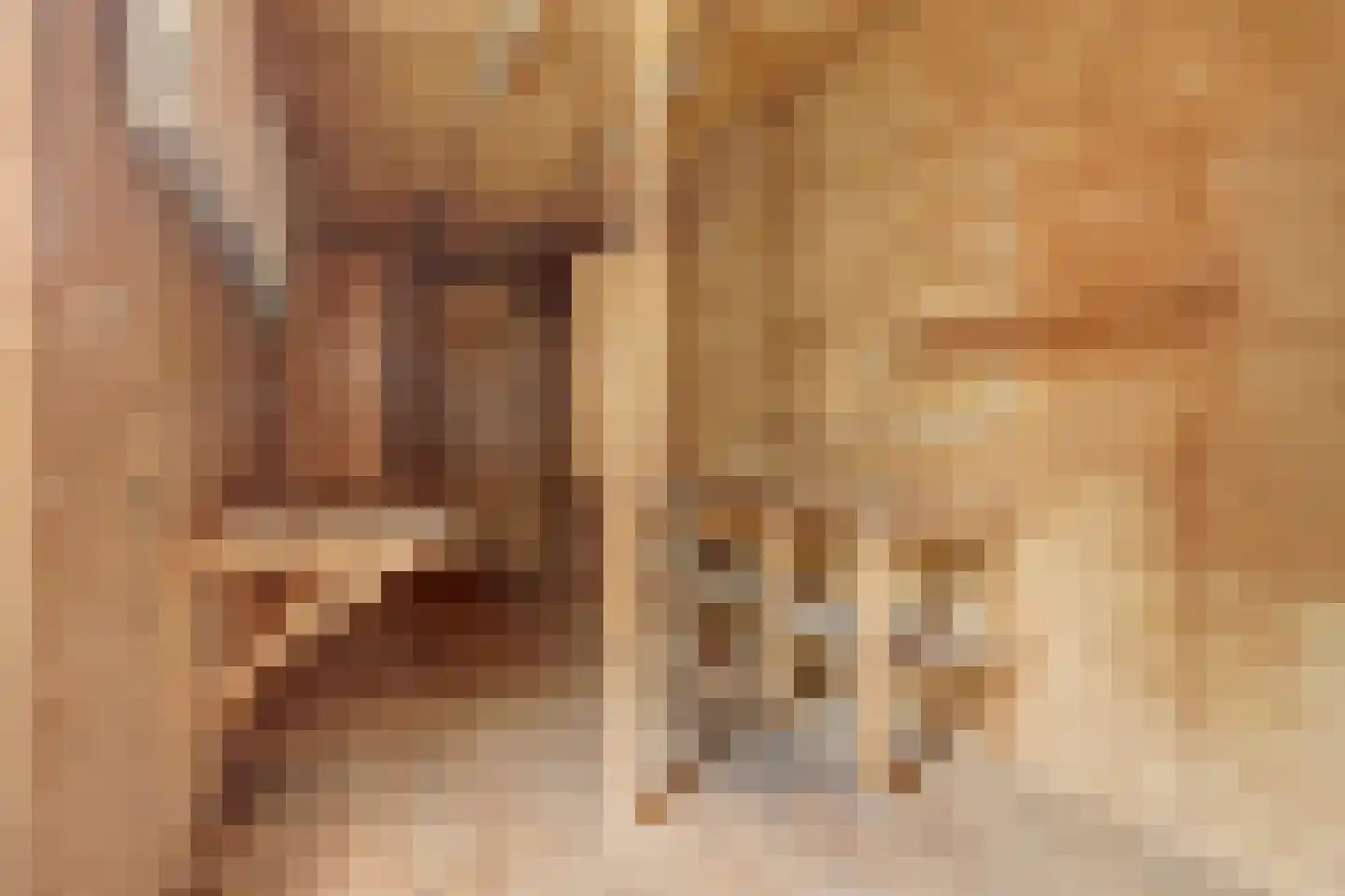 Dorpsstraat 251 Obdam thumbnail 47