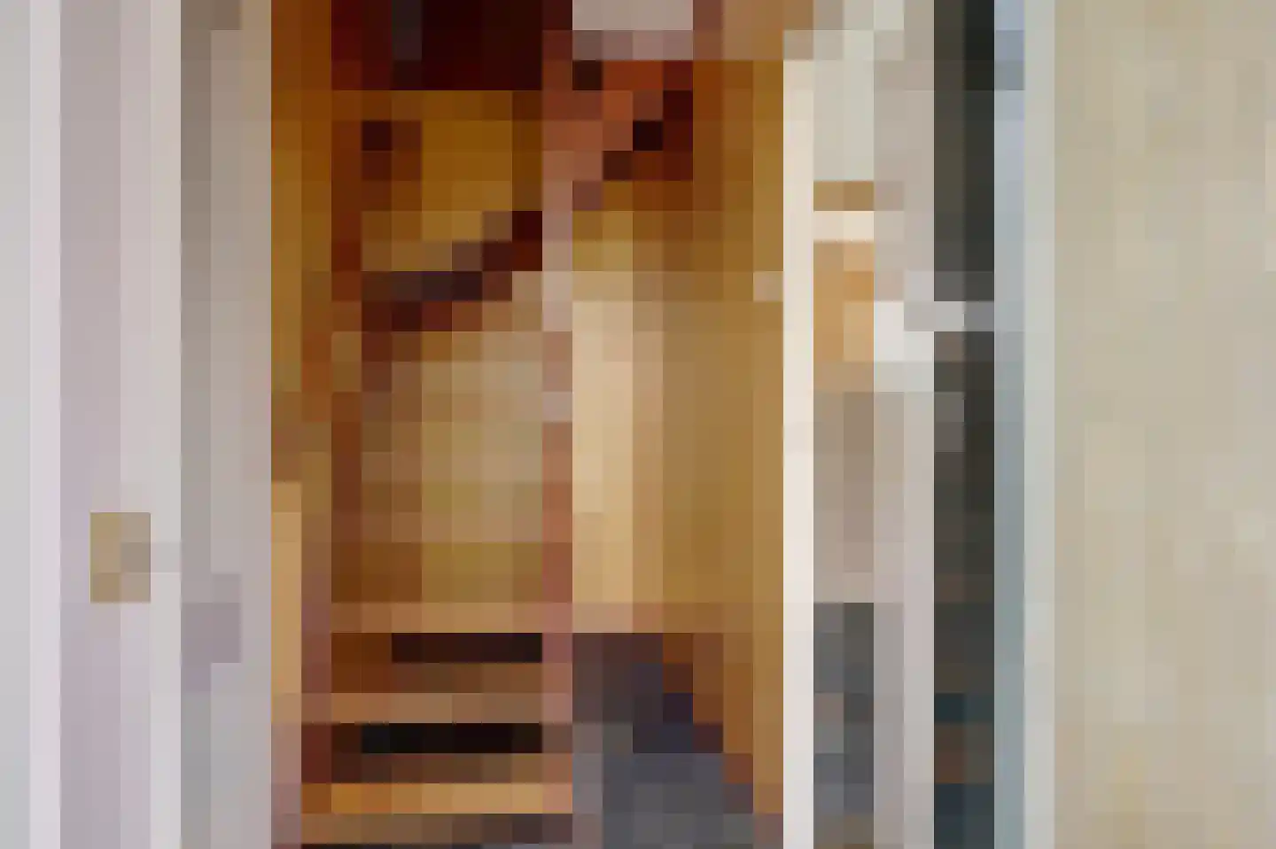 Dorpsstraat 251 Obdam thumbnail 7