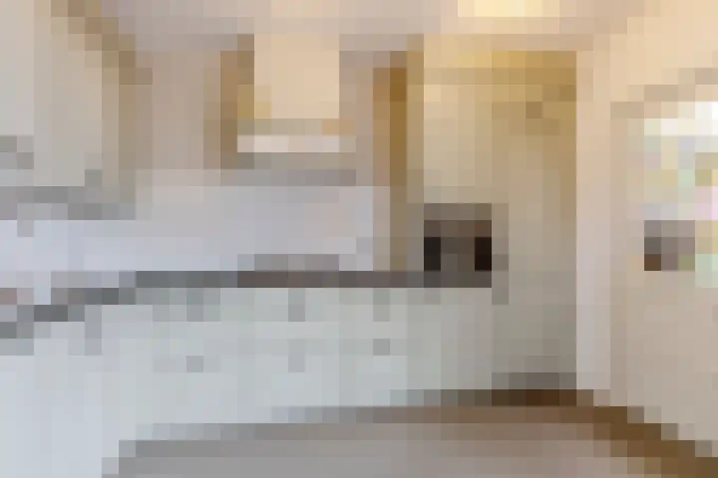 Dorpsstraat 252 Assendelft thumbnail 11
