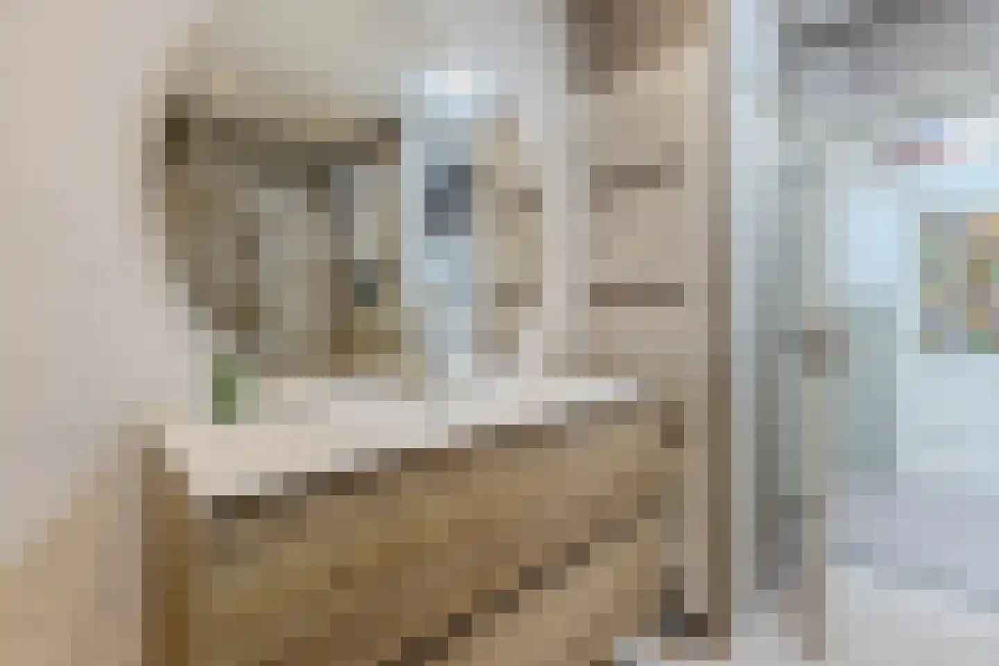 Dorpsstraat 252 Assendelft thumbnail 15