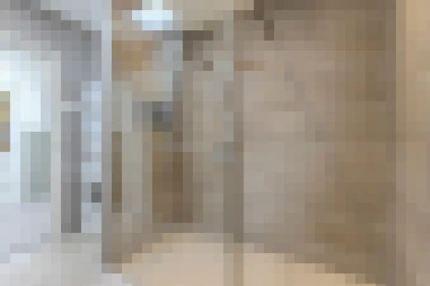 Dorpsstraat 252 Assendelft thumbnail 16