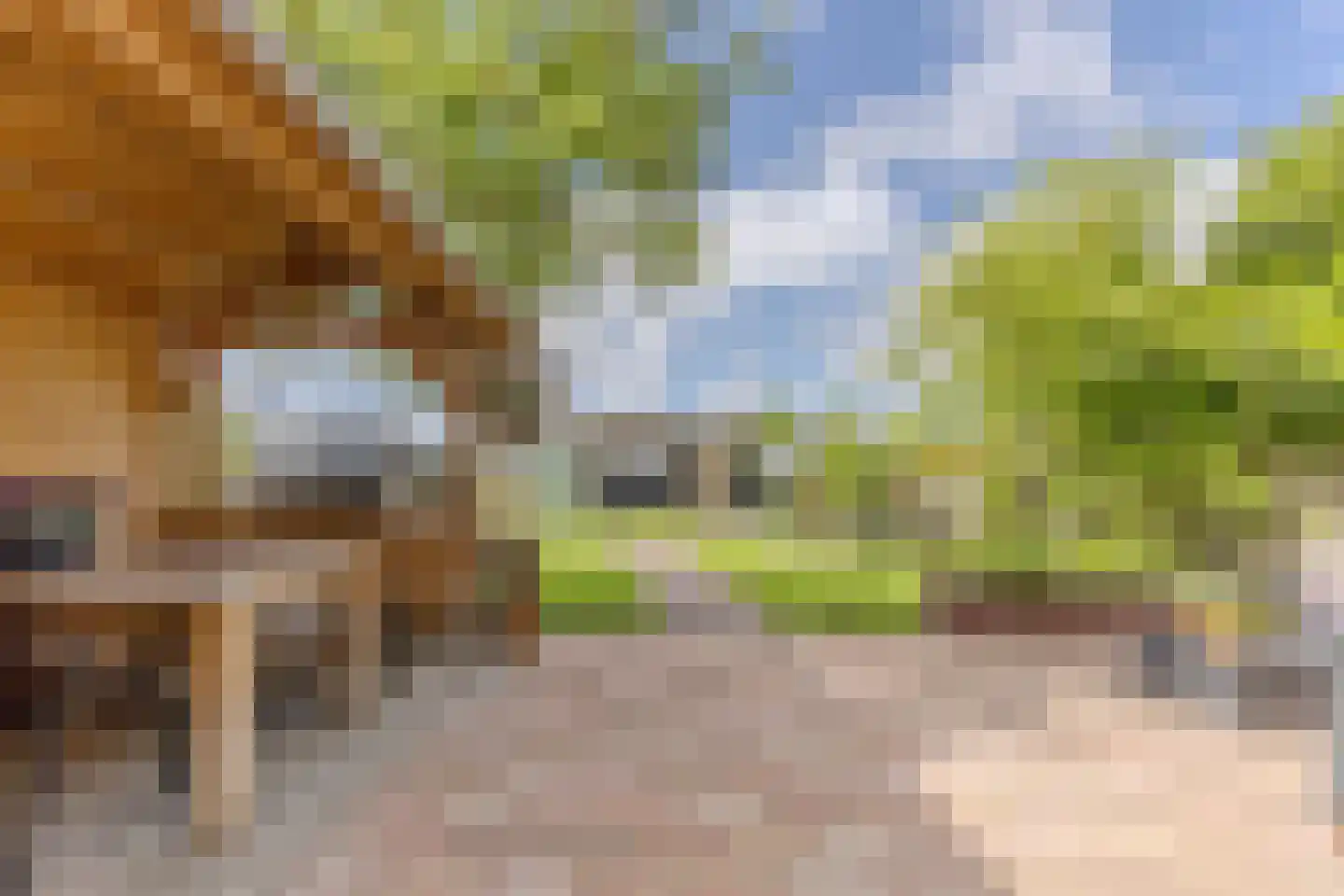 Dorpsstraat 252 Assendelft thumbnail 22