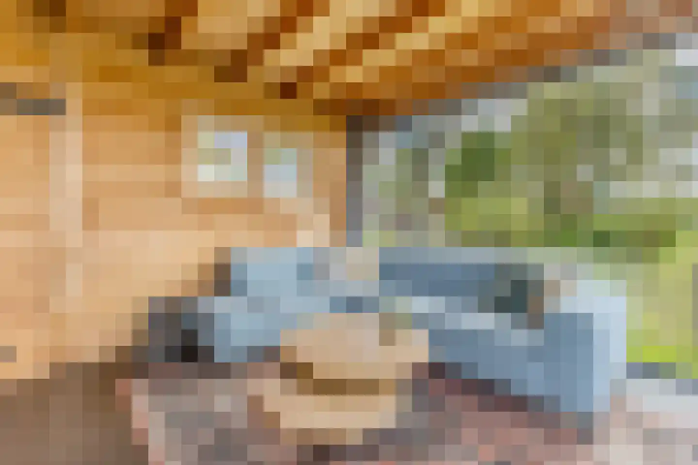 Dorpsstraat 252 Assendelft thumbnail 25
