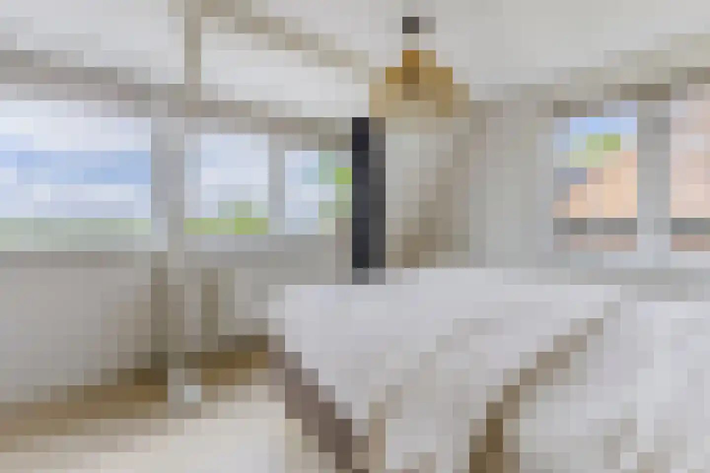 Dorpsstraat 252 Assendelft thumbnail 32
