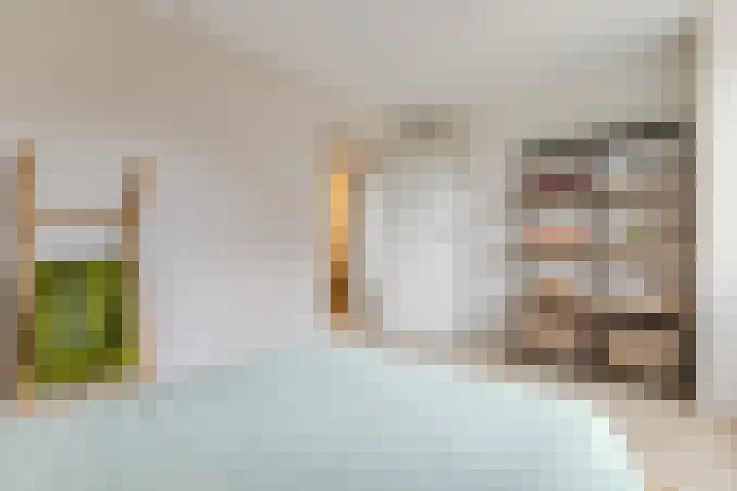 Dorpsstraat 252 Assendelft thumbnail 36