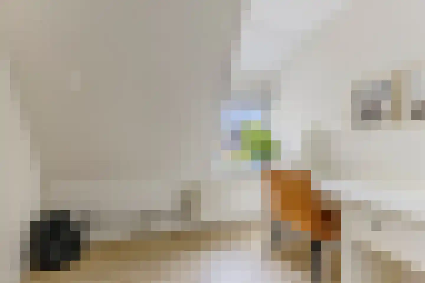 Dorpsstraat 252 Assendelft thumbnail 37