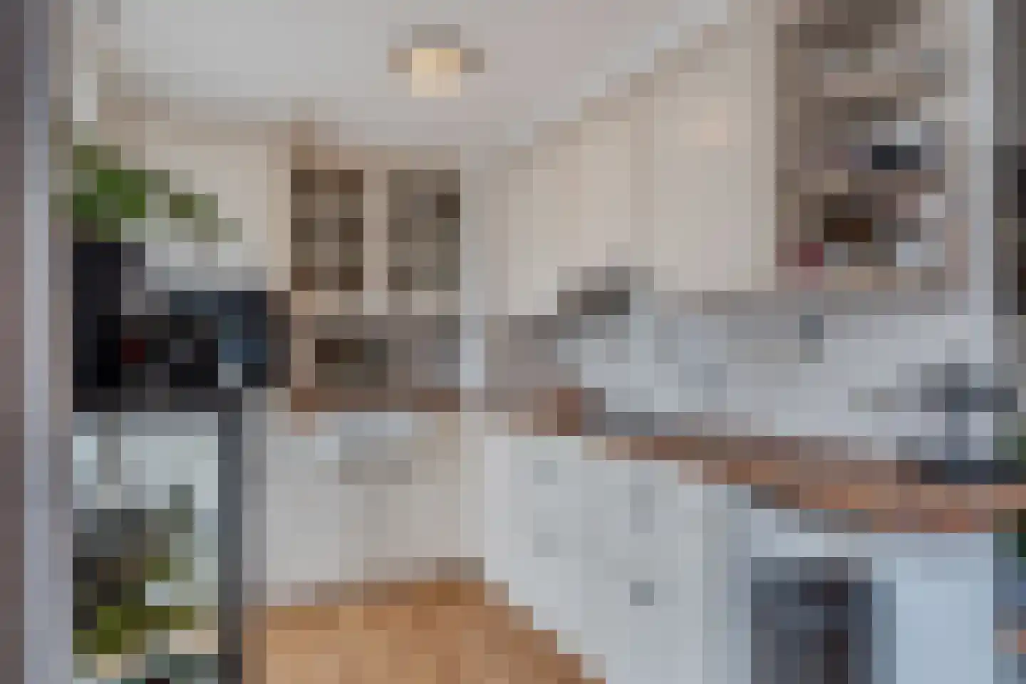 Dorpsstraat 252 Zuid-Scharwoude thumbnail 12