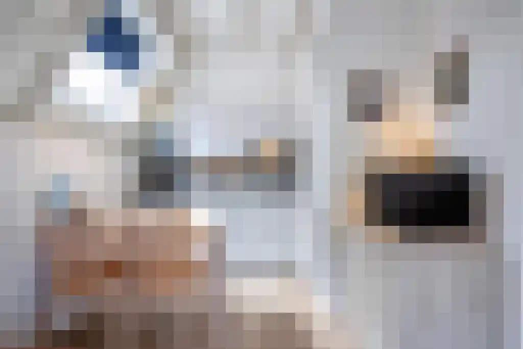Dorpsstraat 255 De Koog thumbnail 8