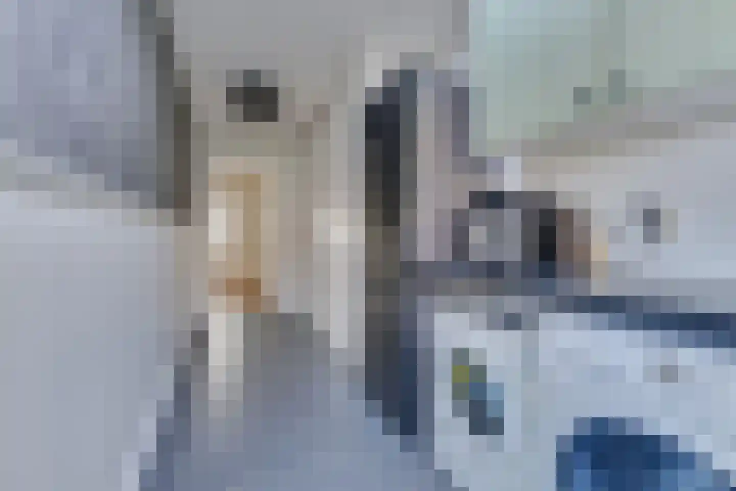 Dorpsstraat 258 b Obdam thumbnail 21