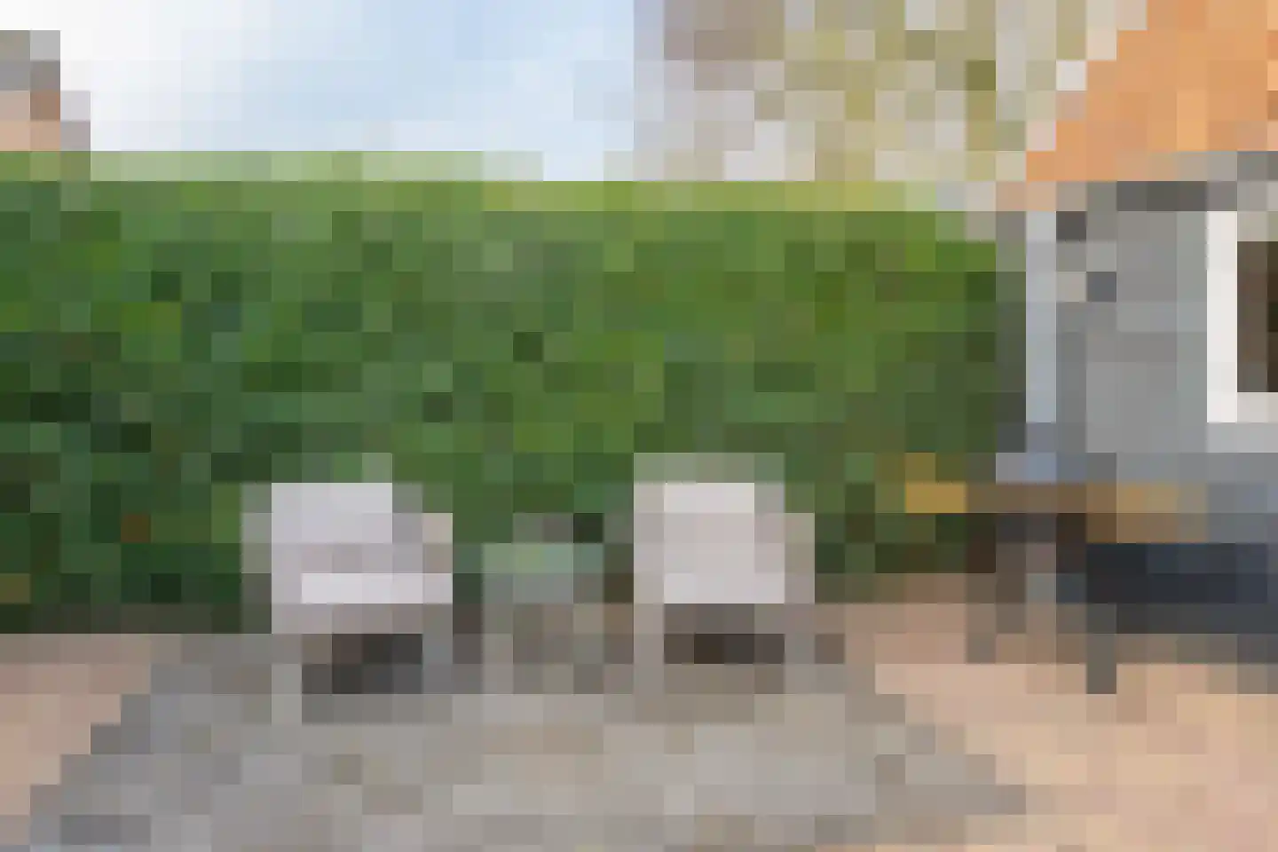 Dorpsstraat 258 b Obdam thumbnail 39