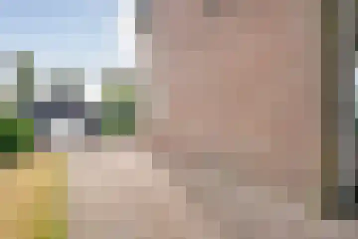 Dorpsstraat 26 a Dalerpeel thumbnail 10