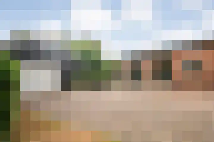 Dorpsstraat 26 a Dalerpeel thumbnail 35