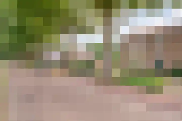 Dorpsstraat 26 a Dalerpeel thumbnail 6