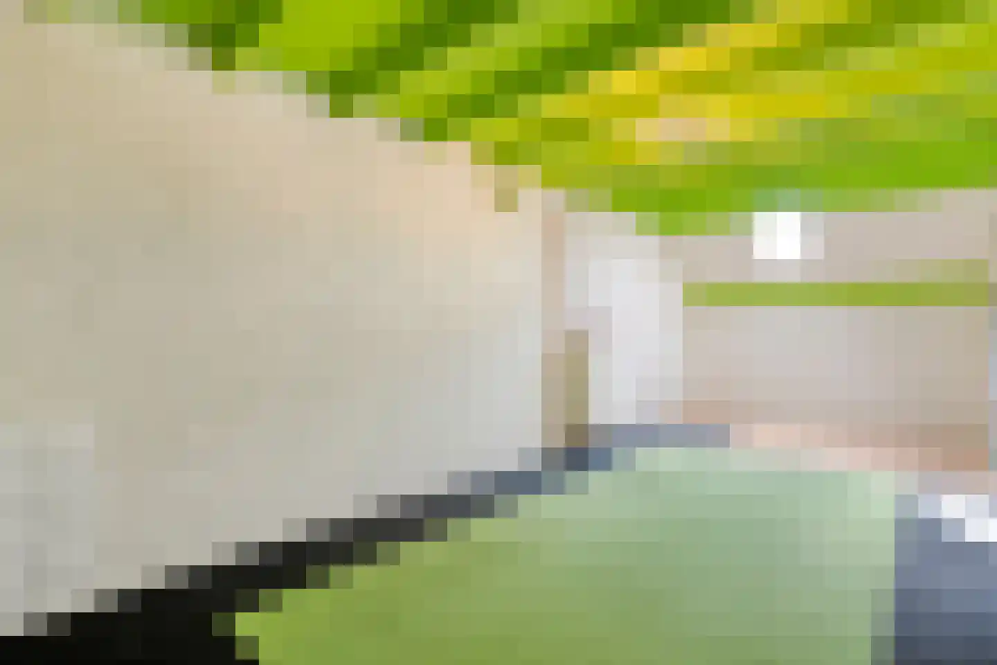 Dorpsstraat 26 b Uffelte thumbnail 20
