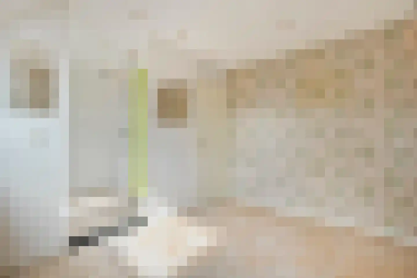 Dorpsstraat 26 b Uffelte thumbnail 26