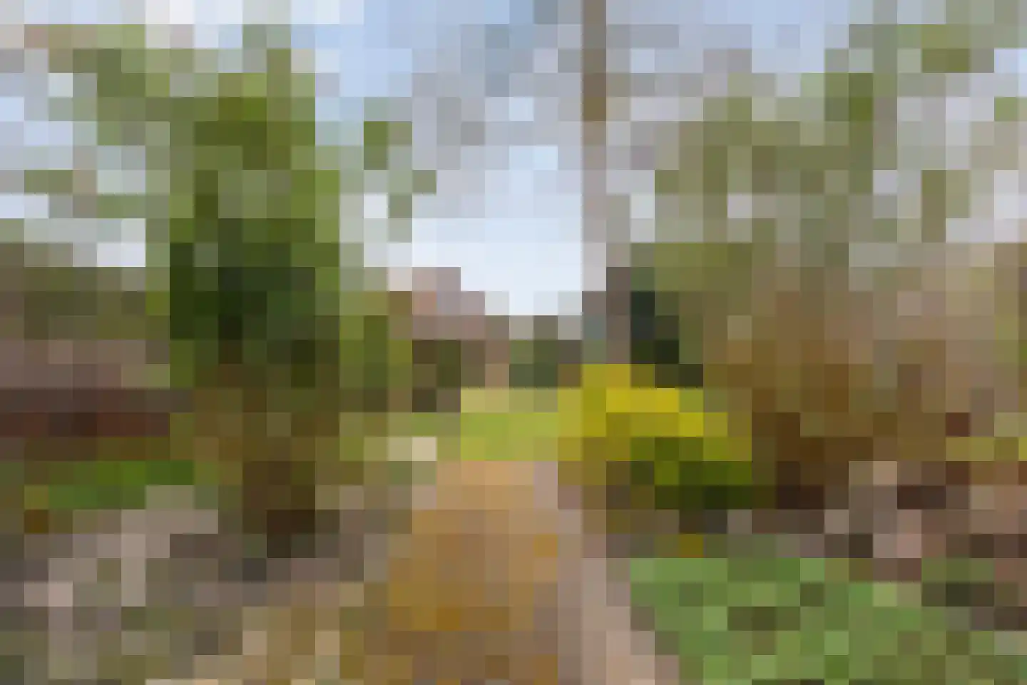 Dorpsstraat 26 b Uffelte thumbnail 41