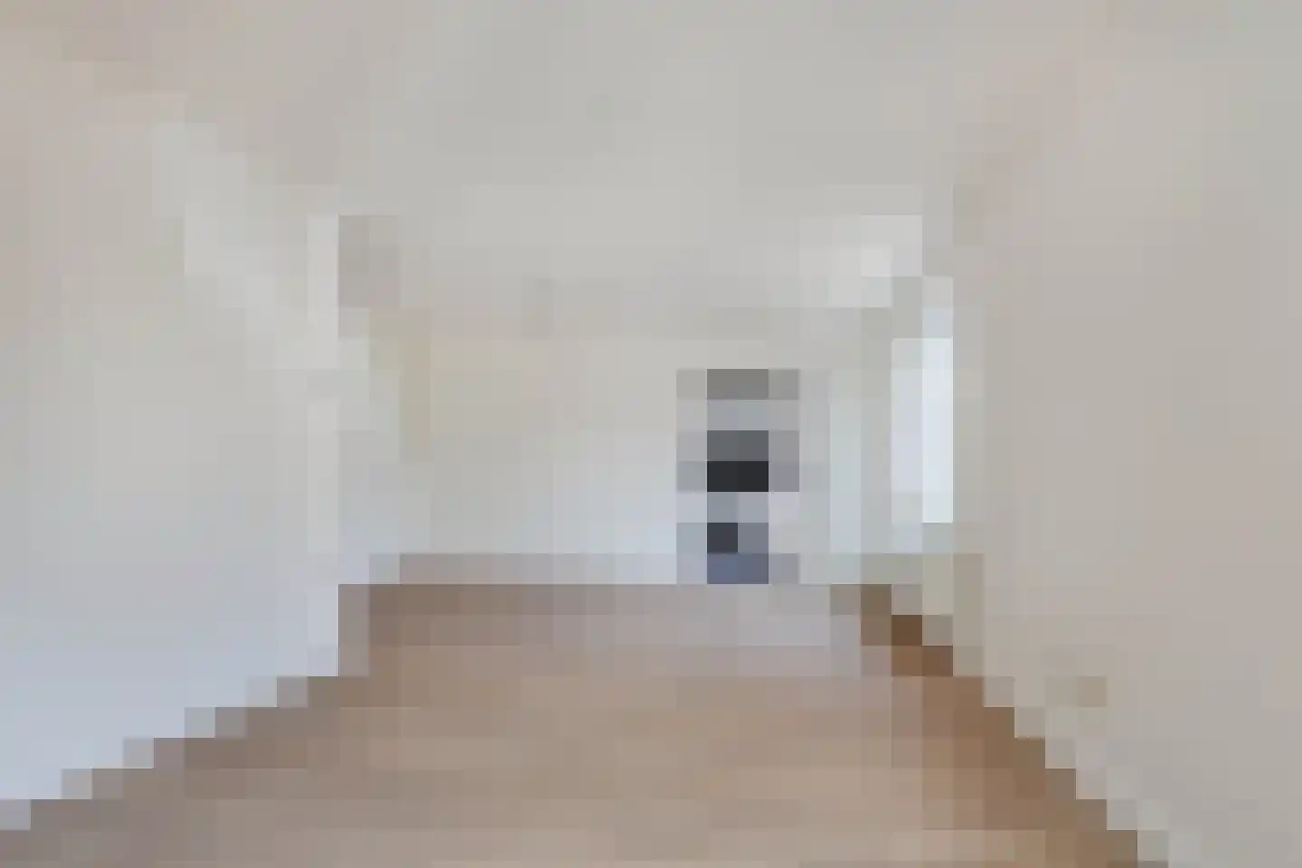Dorpsstraat 26 Guttecoven thumbnail 14