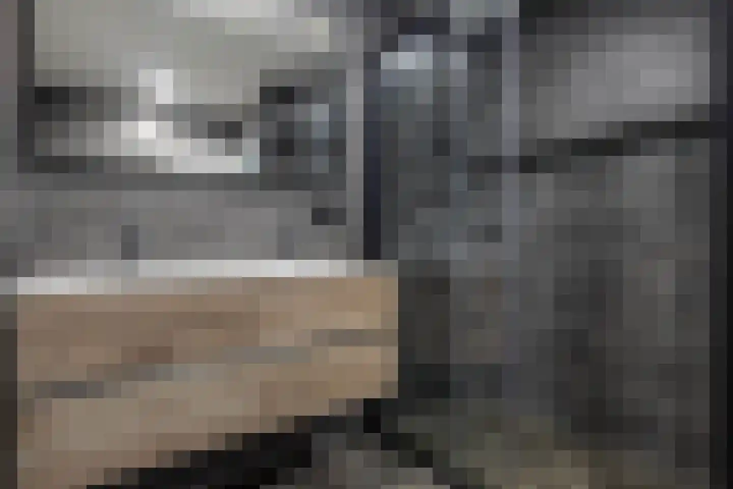 Dorpsstraat 26 Guttecoven thumbnail 17