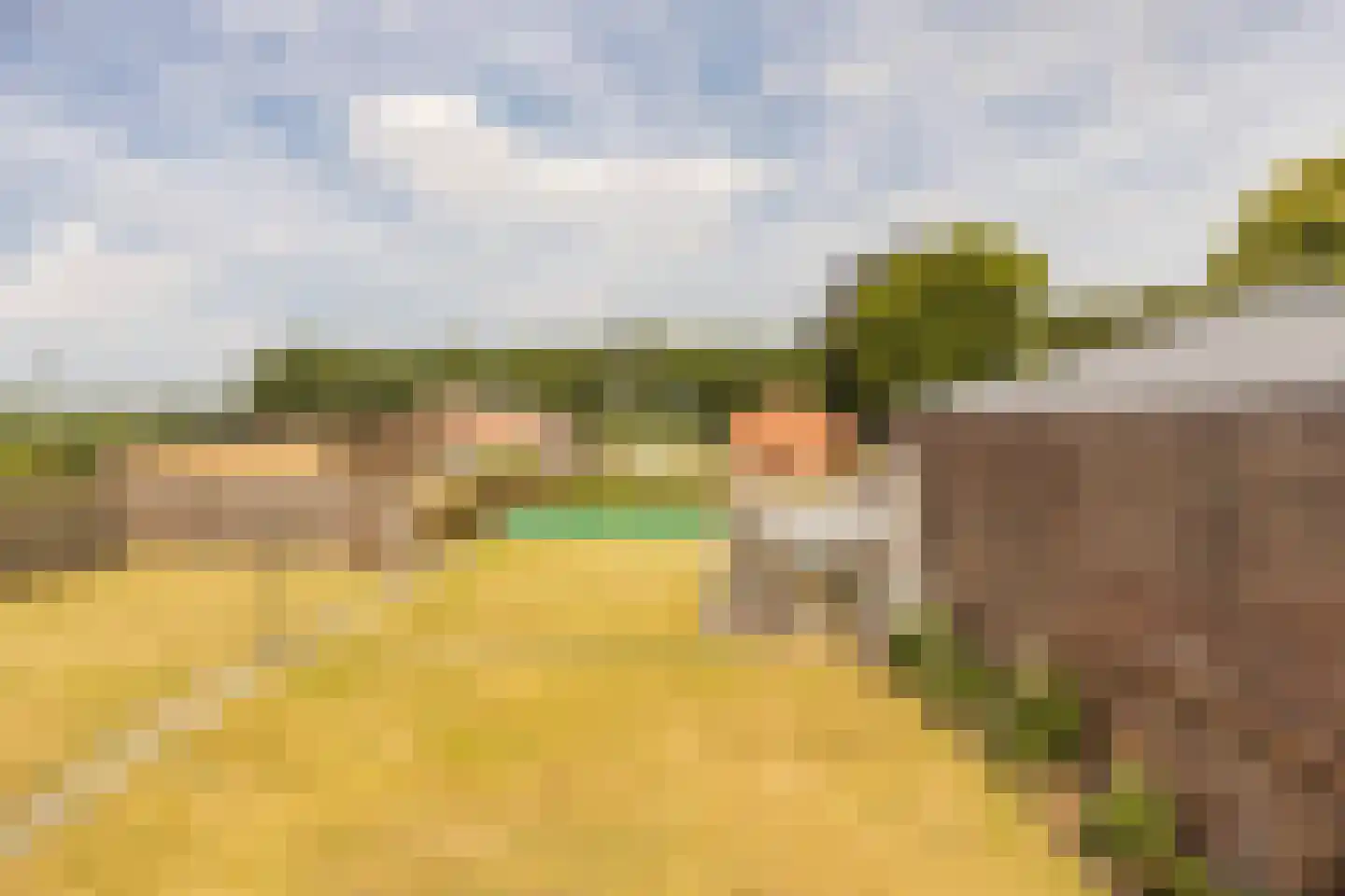 Dorpsstraat 26 Guttecoven thumbnail 24