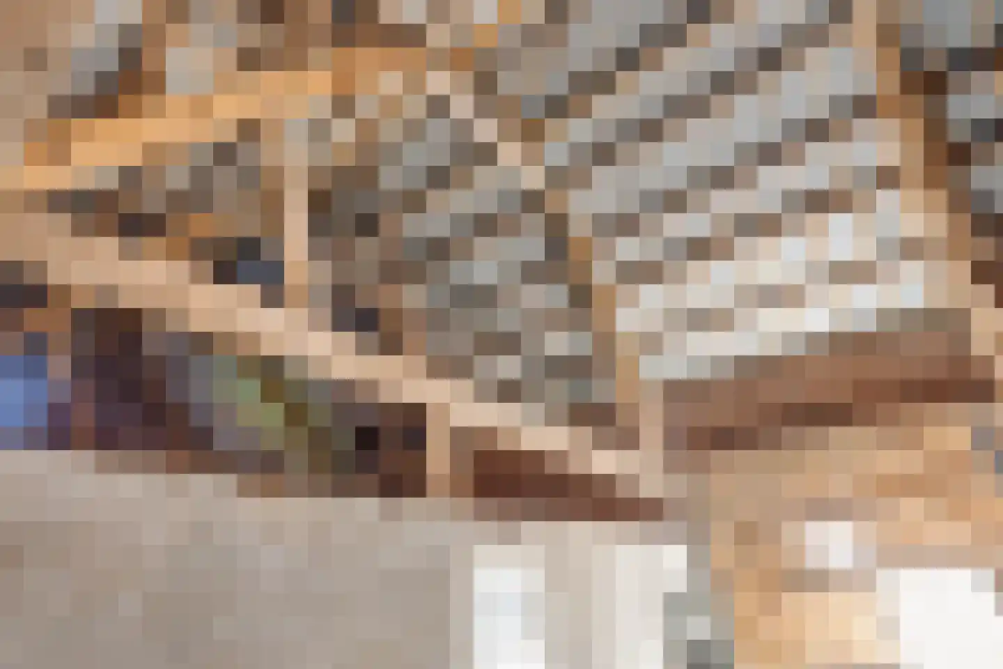 Dorpsstraat 26 Guttecoven thumbnail 28