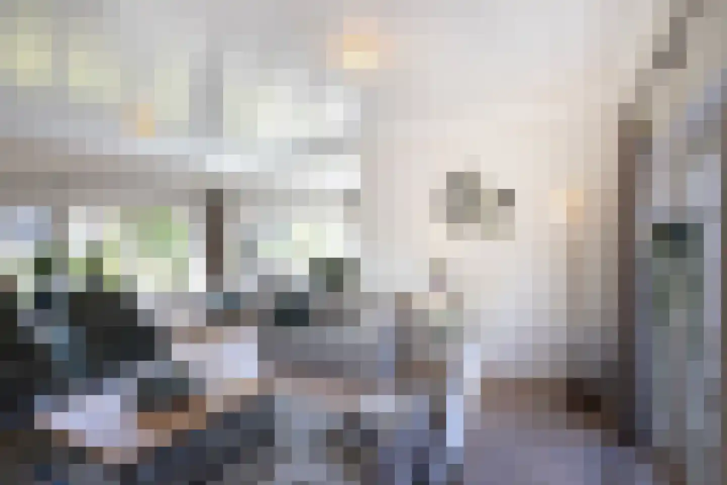 Dorpsstraat 26 Lunteren thumbnail 13