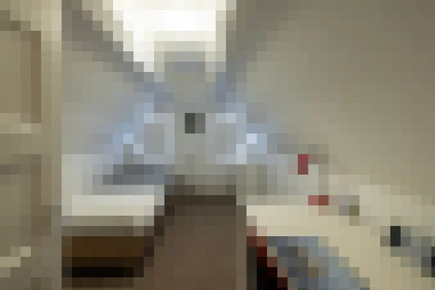 Dorpsstraat 26 Lunteren thumbnail 37
