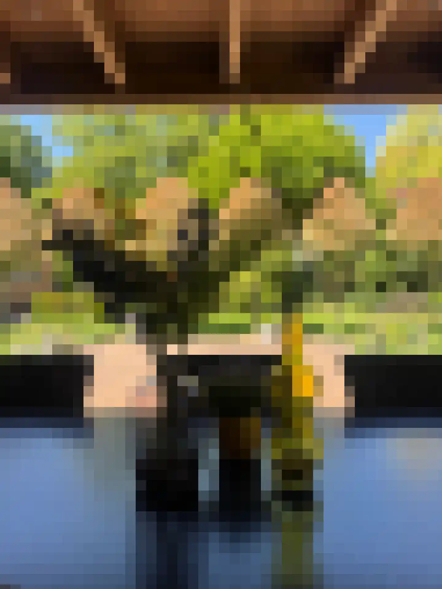 Dorpsstraat 26 Lunteren thumbnail 41