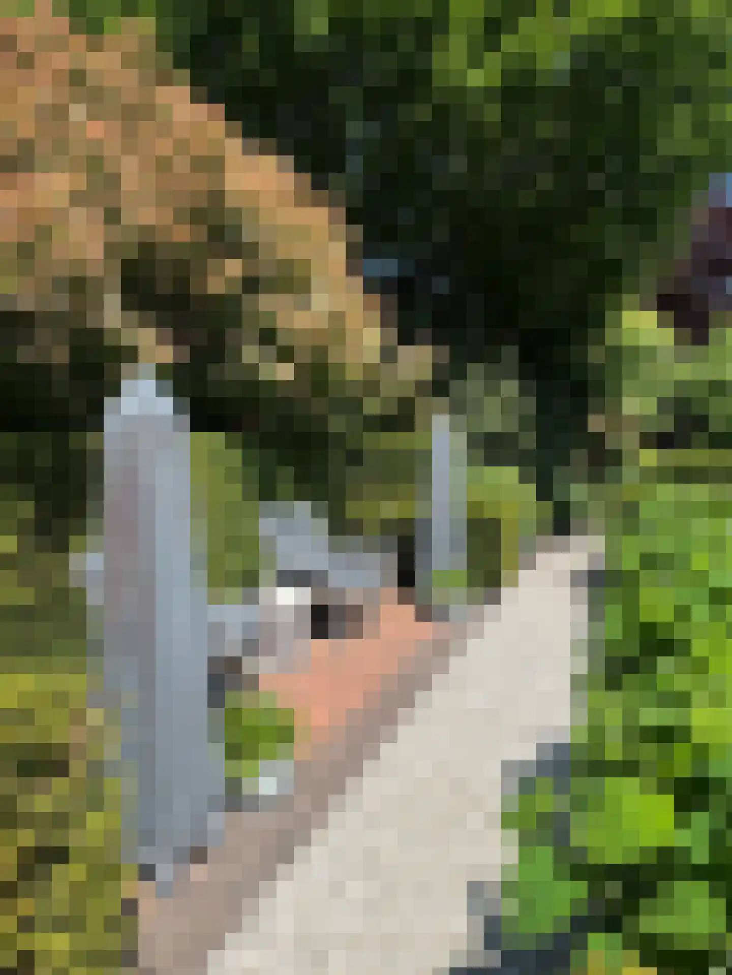 Dorpsstraat 26 Lunteren thumbnail 42