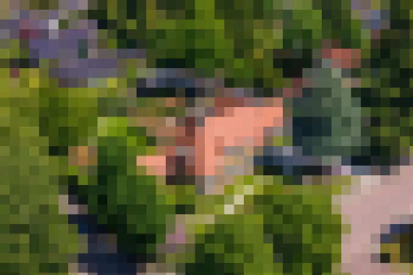 Dorpsstraat 26 Lunteren thumbnail 5