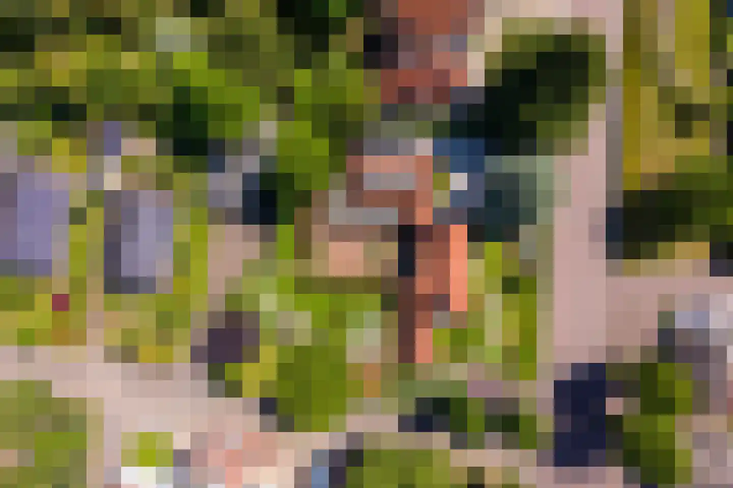 Dorpsstraat 26 Lunteren thumbnail 7