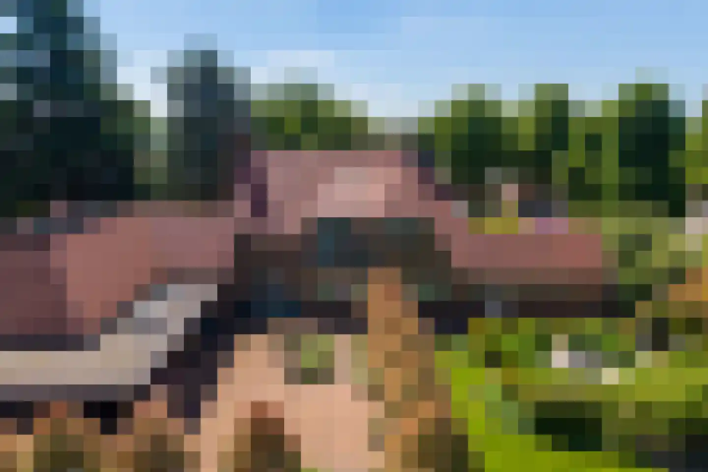 Dorpsstraat 26 Lunteren thumbnail 9