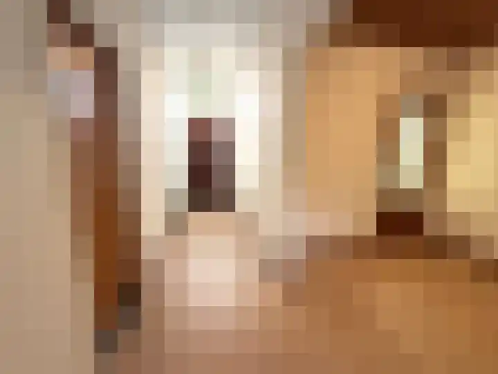 Dorpsstraat 26 Nispen thumbnail 12