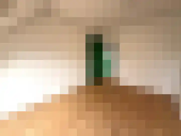Dorpsstraat 26 Nispen thumbnail 31